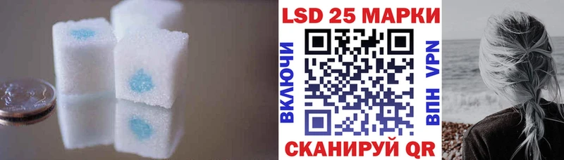 Купить закладки  Новодвинск  Лсд 25 экстази ecstasy 