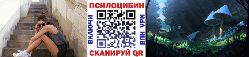 Псилоцибиновые грибы Psilocybine cubensis  Купить где  Новодвинск 